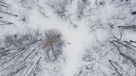 Luftaufnahme:-Mann-Und-Frau-Laufen-Im-Winter-Durch-Den-Wald